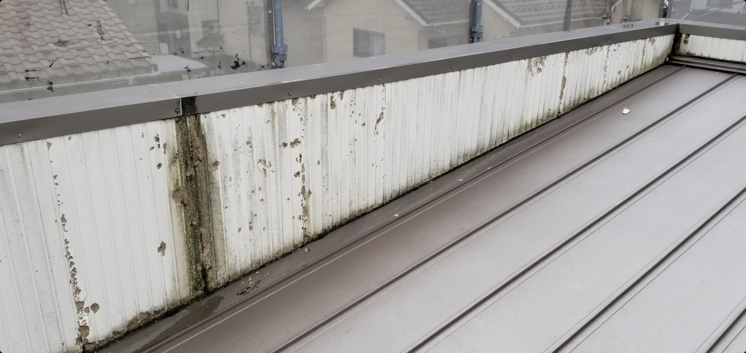 屋根との取り合い付近に剥がれや変色が見られる外壁