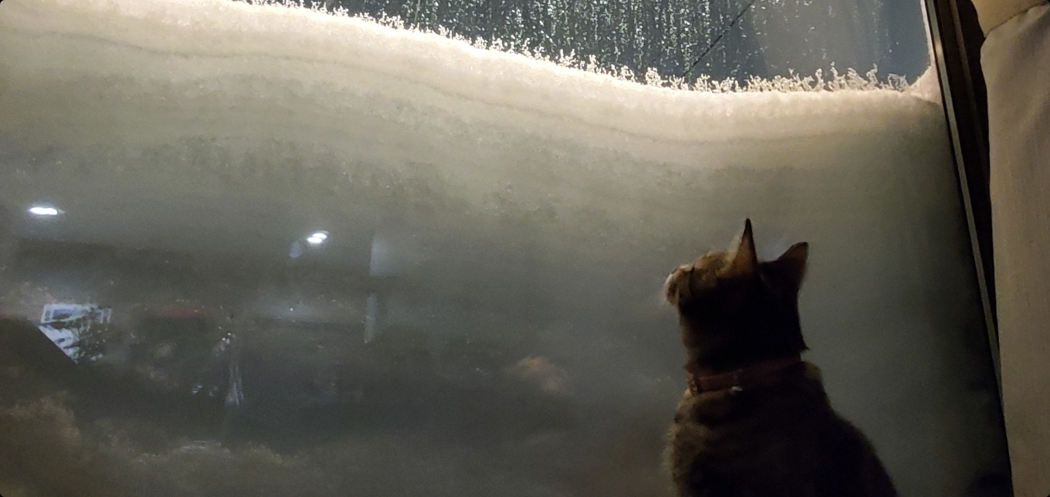 窓の外に雪が積もった冬の風景